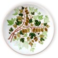 Тарелка Крыжовник